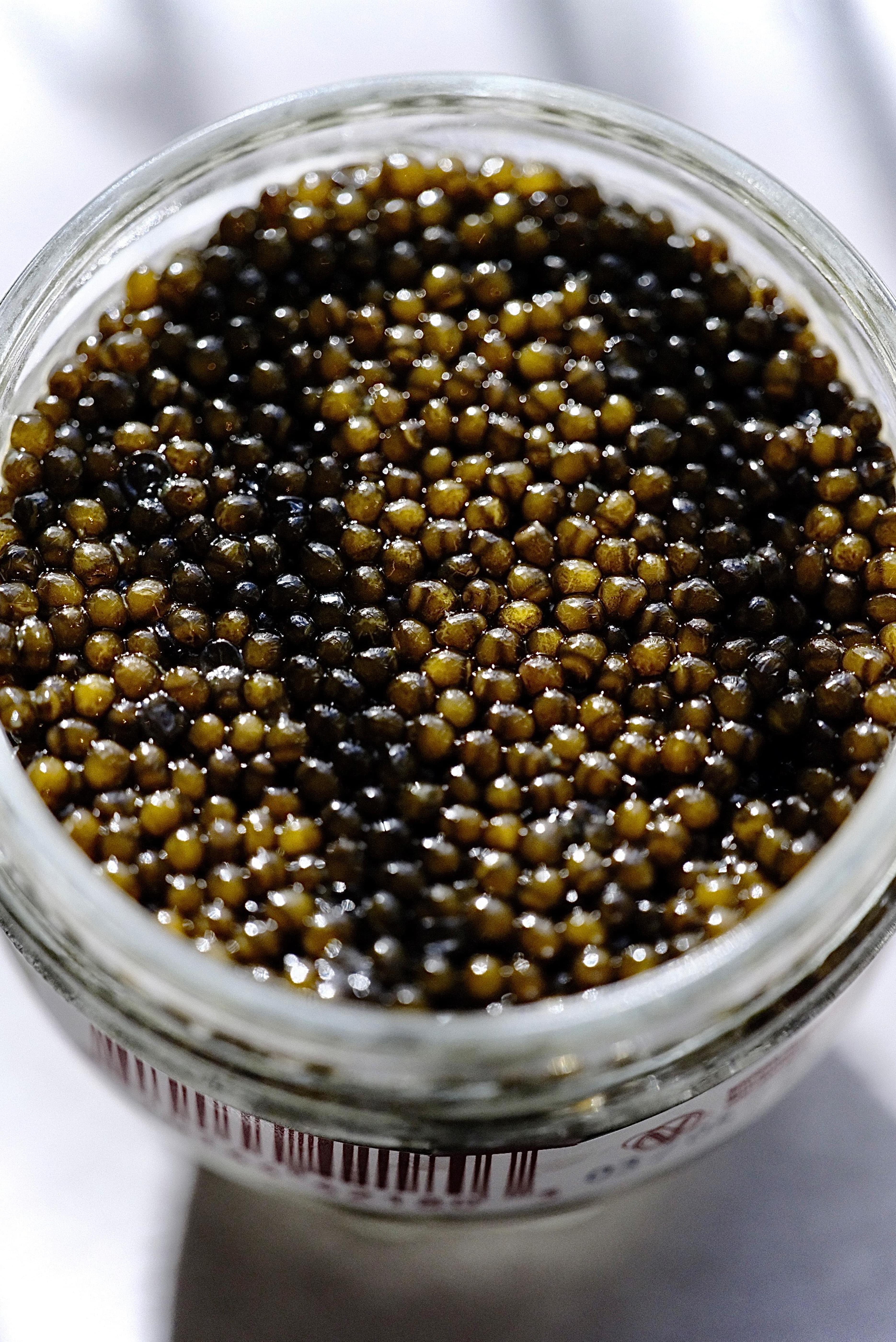 Amur Osetra Caviar