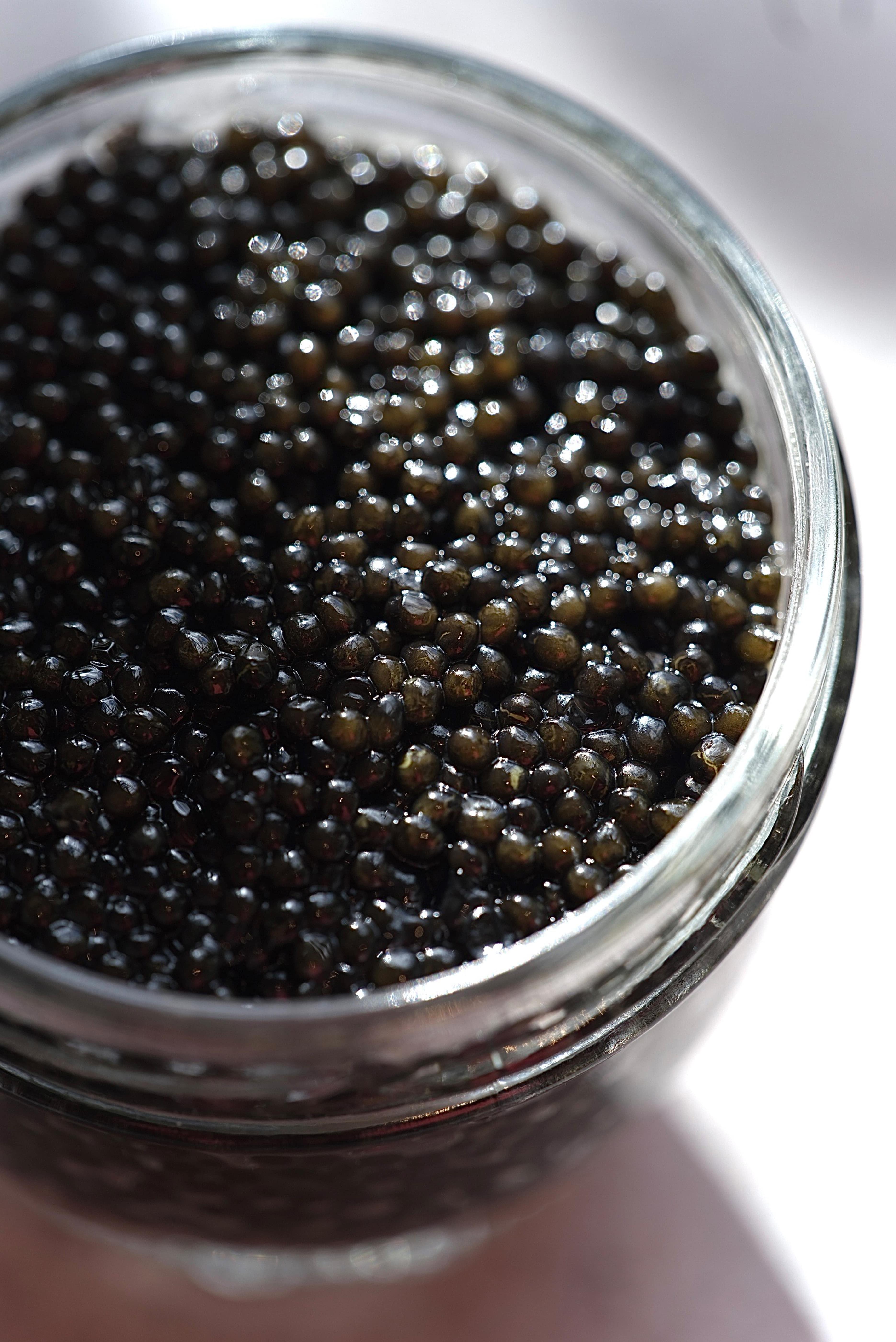 Osetra Caviar