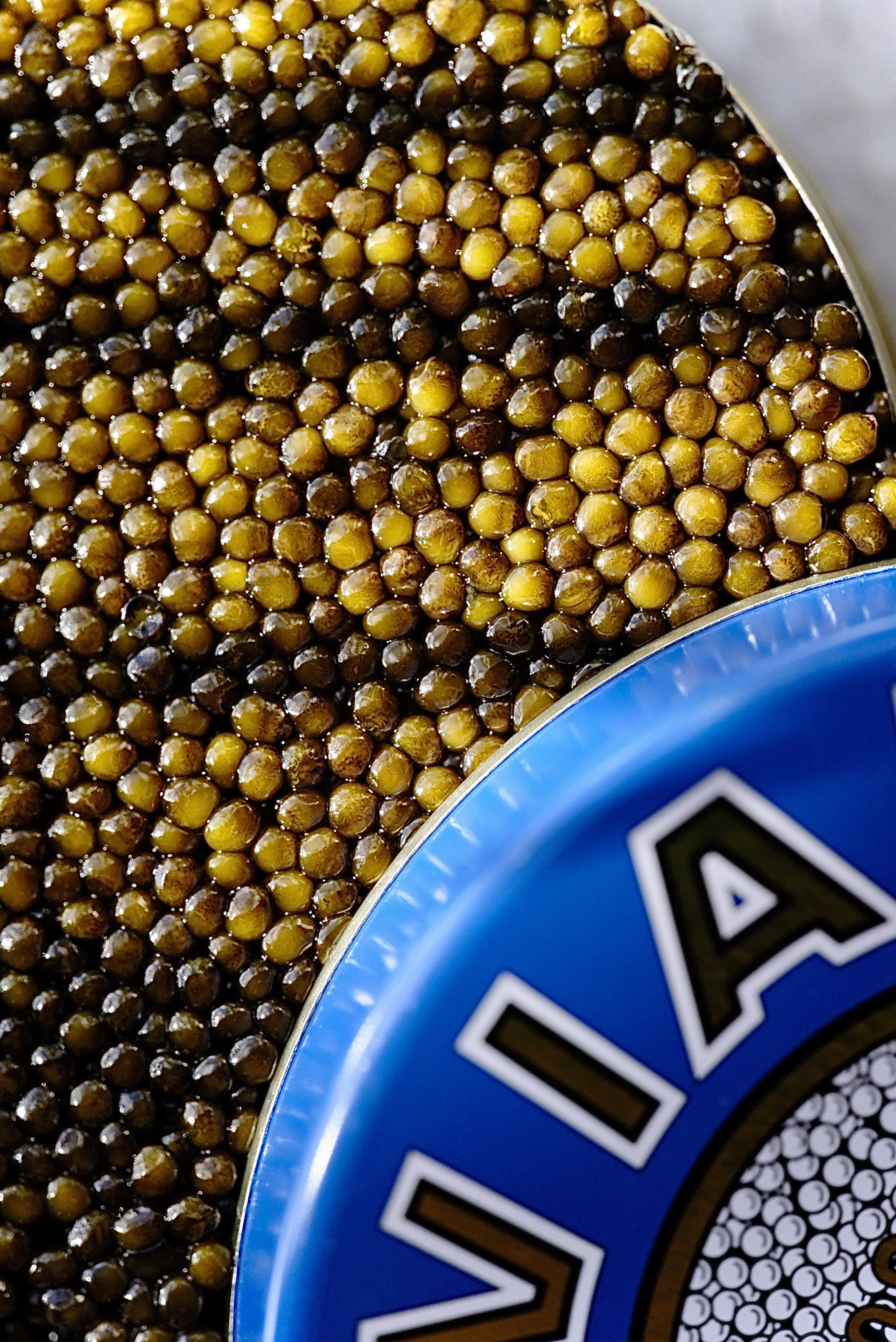 KALUGA Caviar A1 | lb