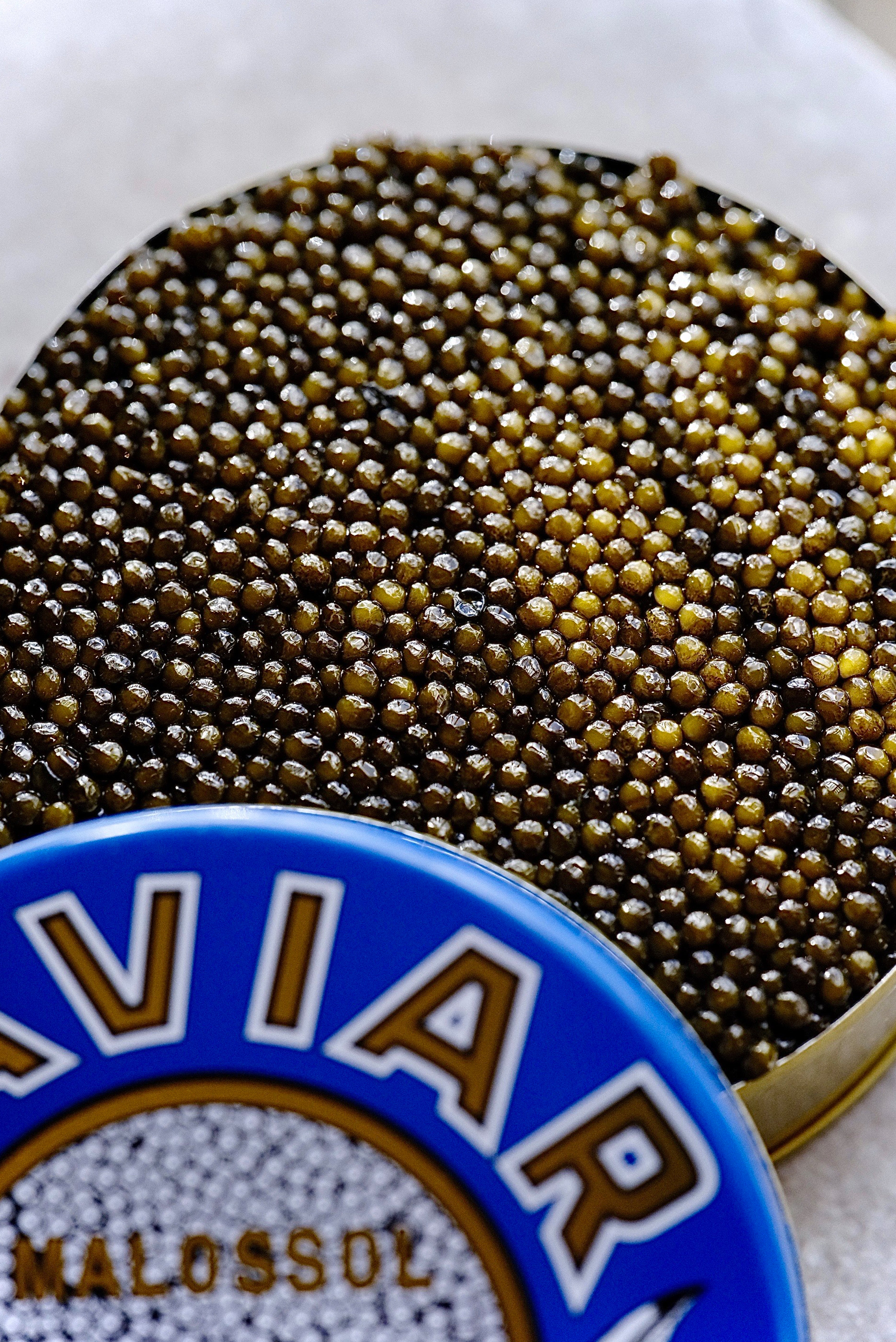 KALUGA Caviar A1 | lb