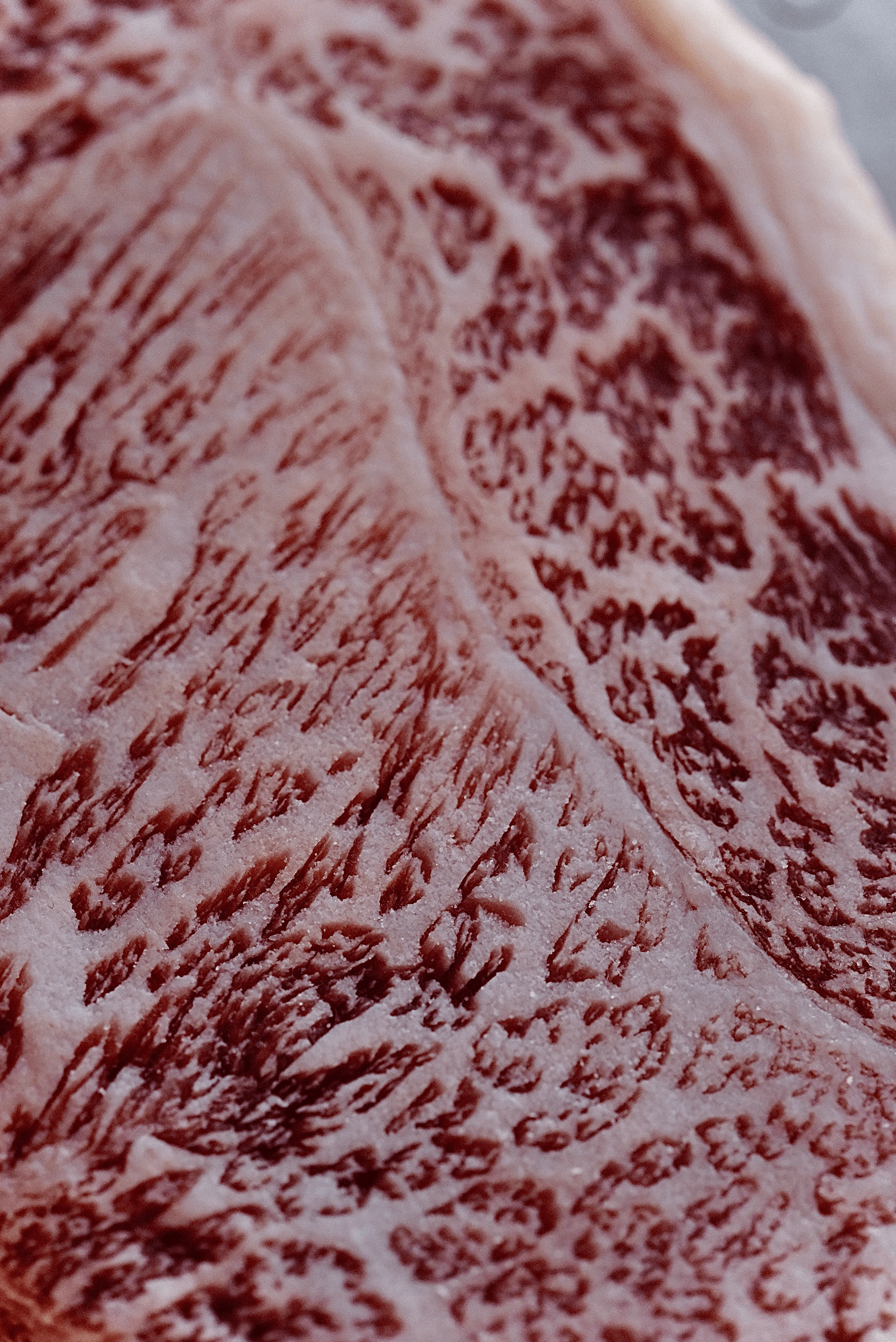 Japanese Striploin KOBE | A5 WAGYU BEEF