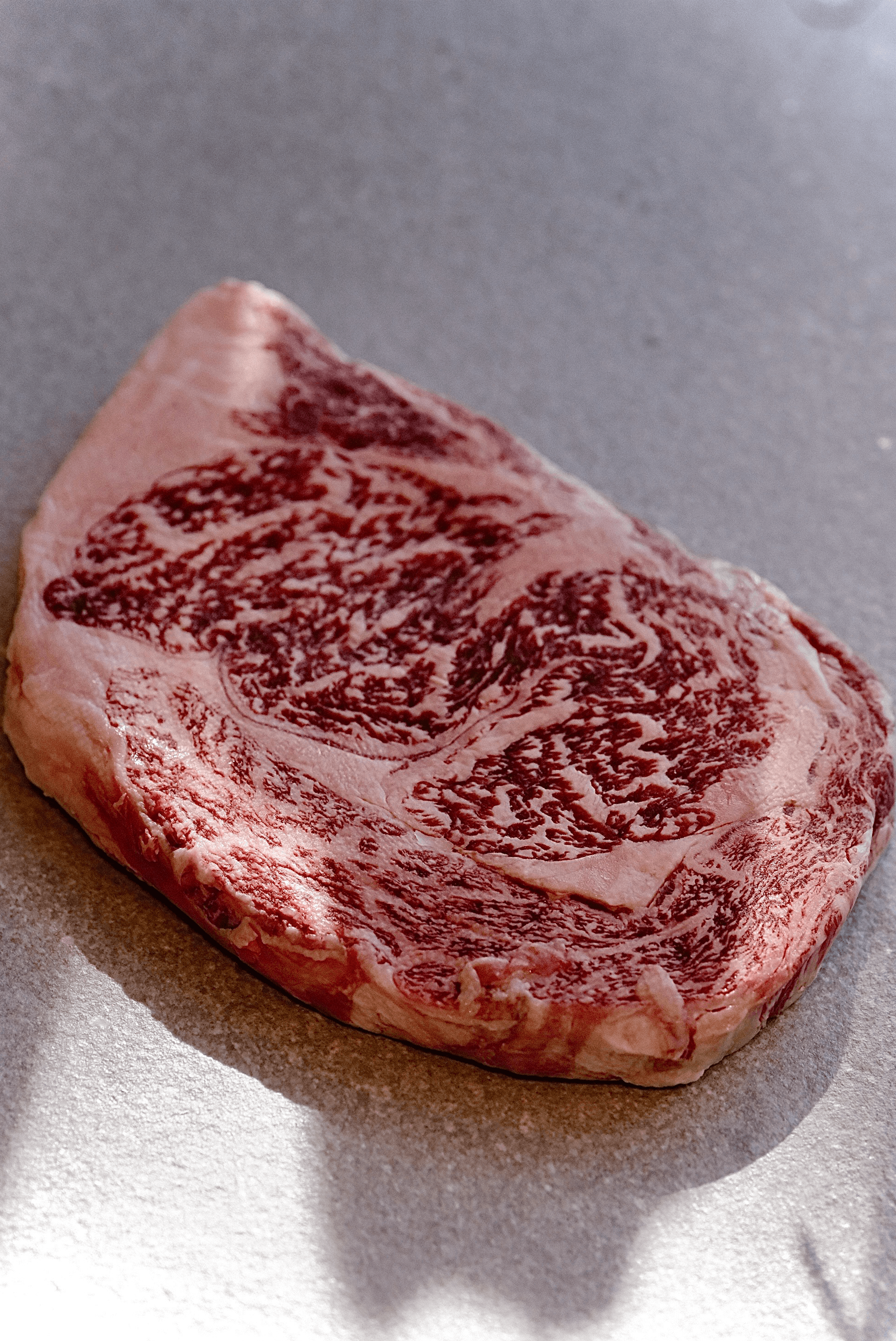 Japanese Ribeyeroll KOBE | A5 WAGYU BEEF