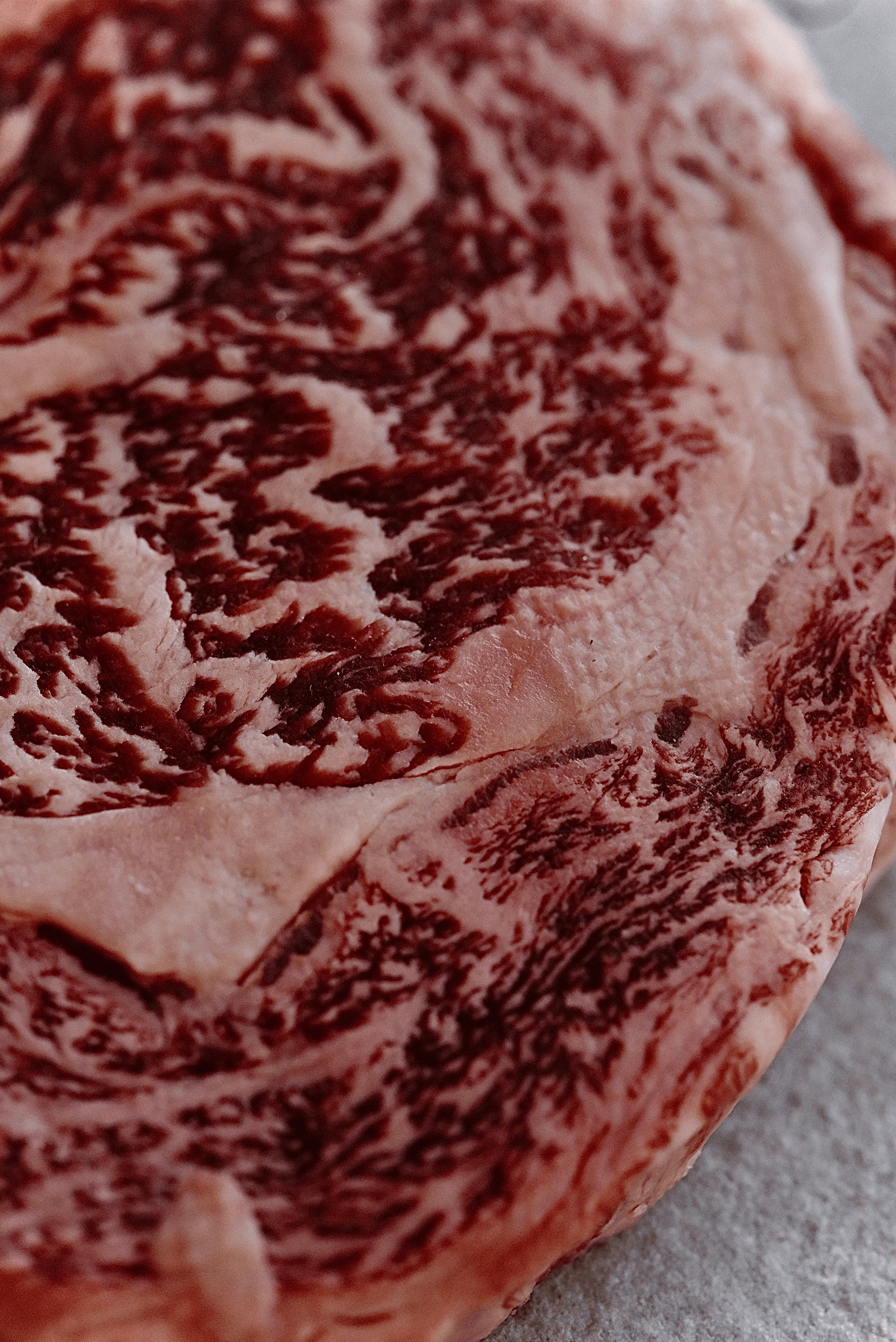 Japanese Ribeyeroll KOBE | A5 WAGYU BEEF