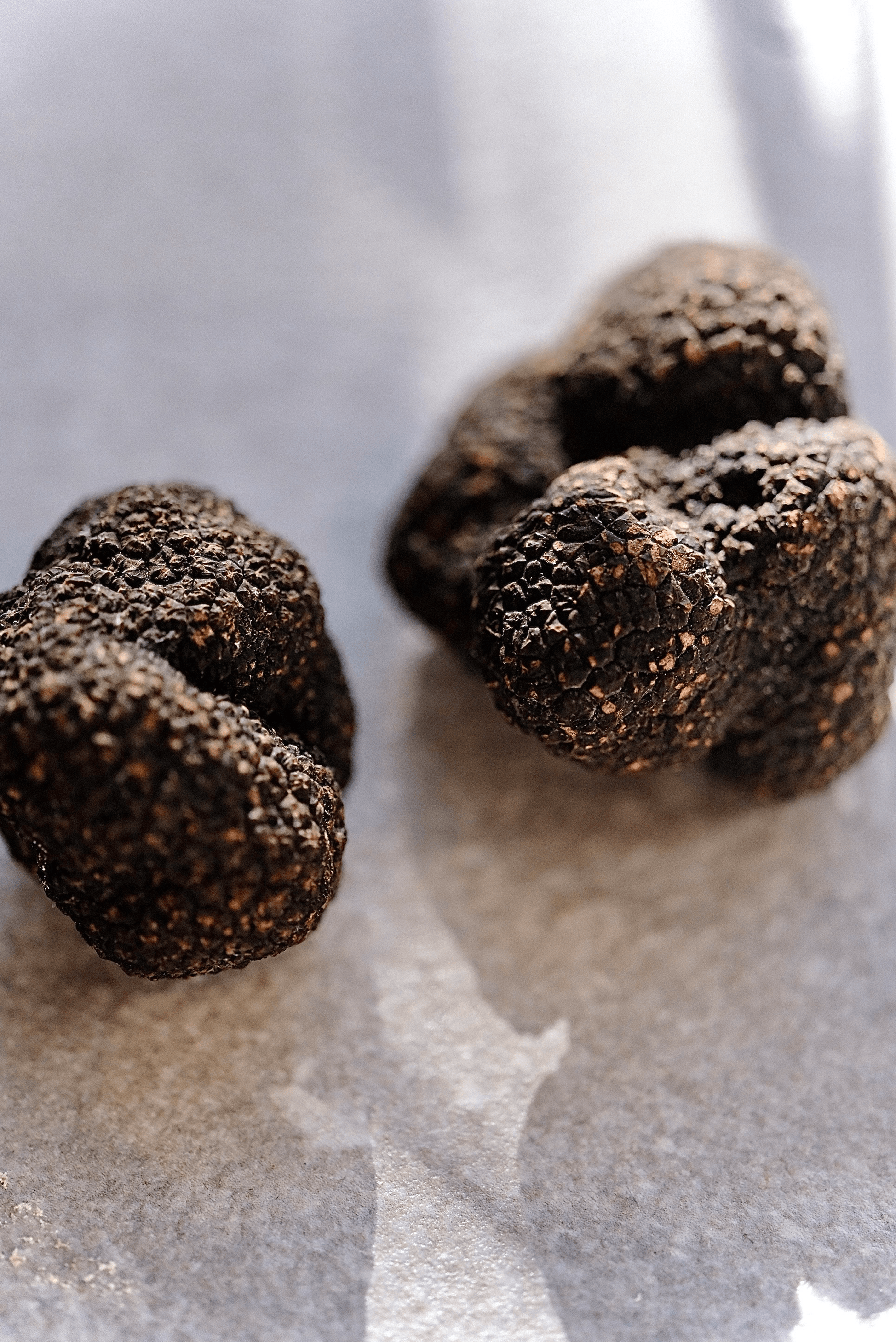 Winter Truffle