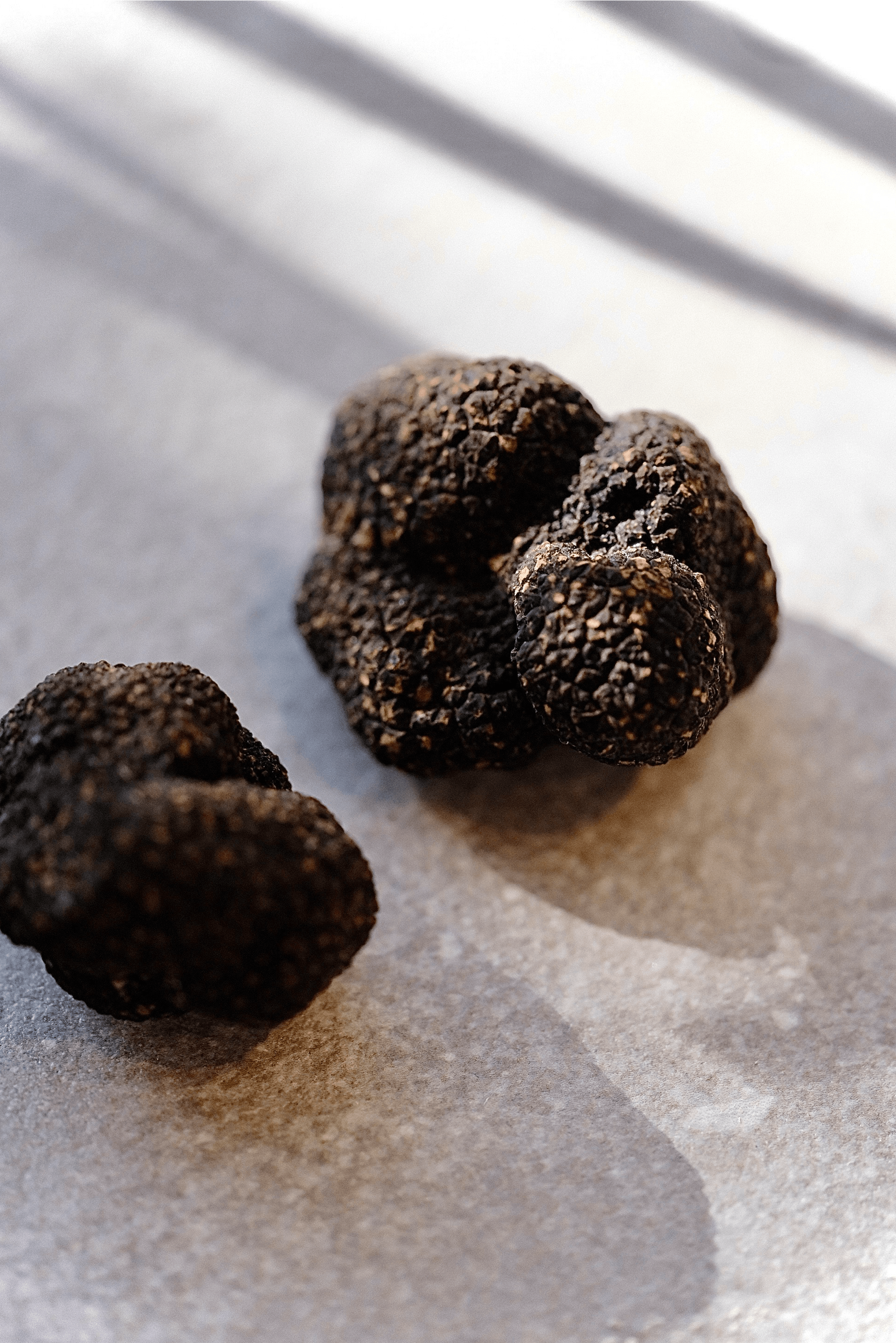 Winter Truffle