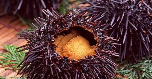 Sea Urchini (Uni) Caviar