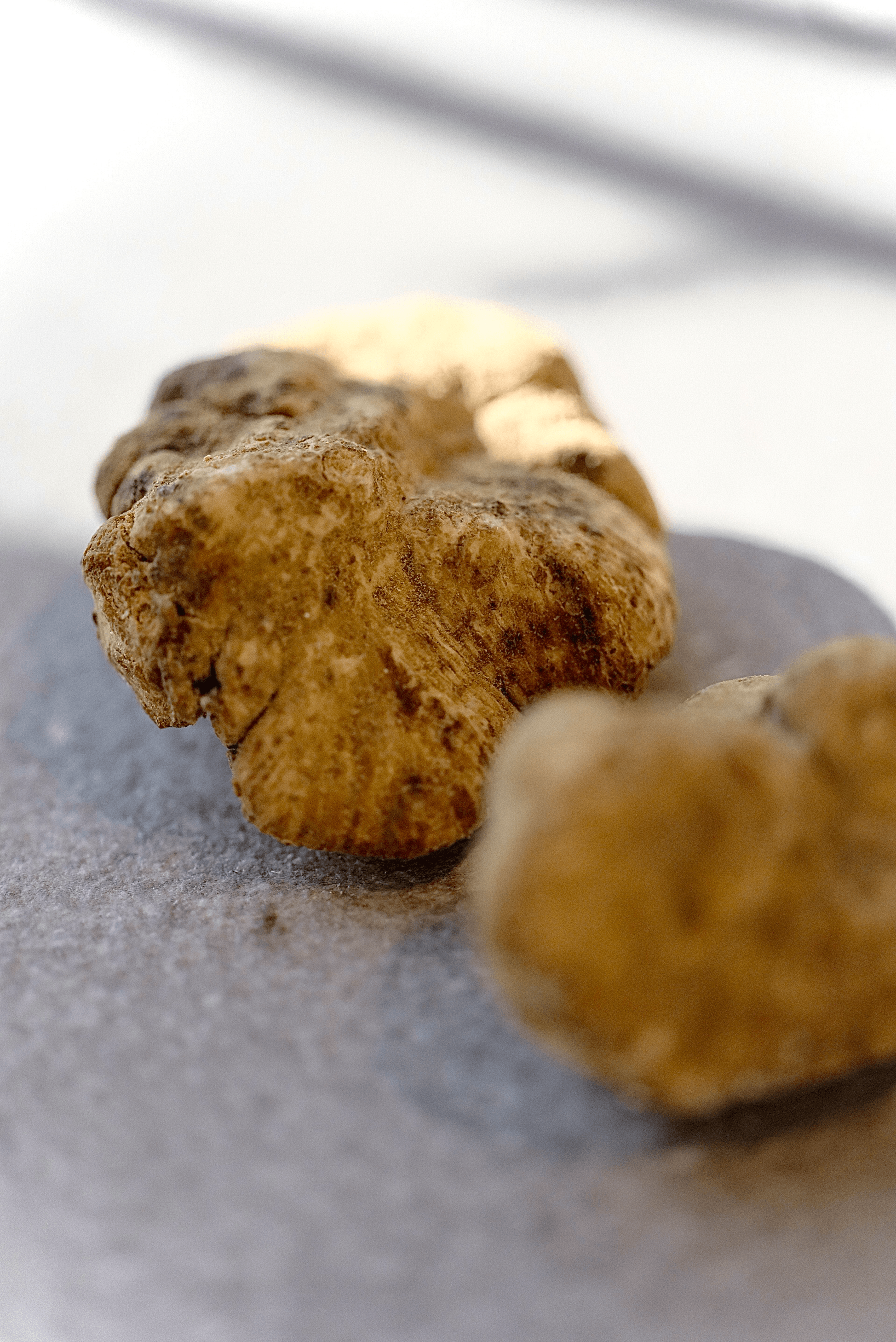 White Truffle ALBA